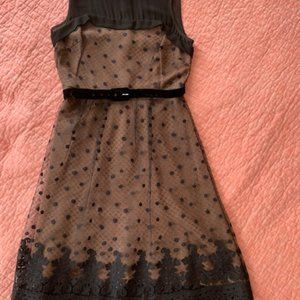 Eva Franco Lace Dress